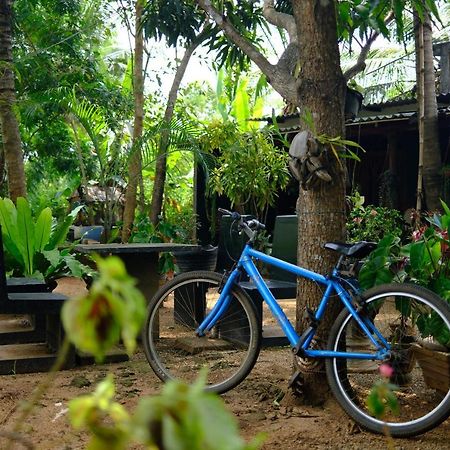 One More Night Hostel Sigiriya Exterior photo