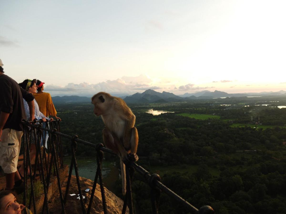 One More Night Hostel Sigiriya Exterior photo