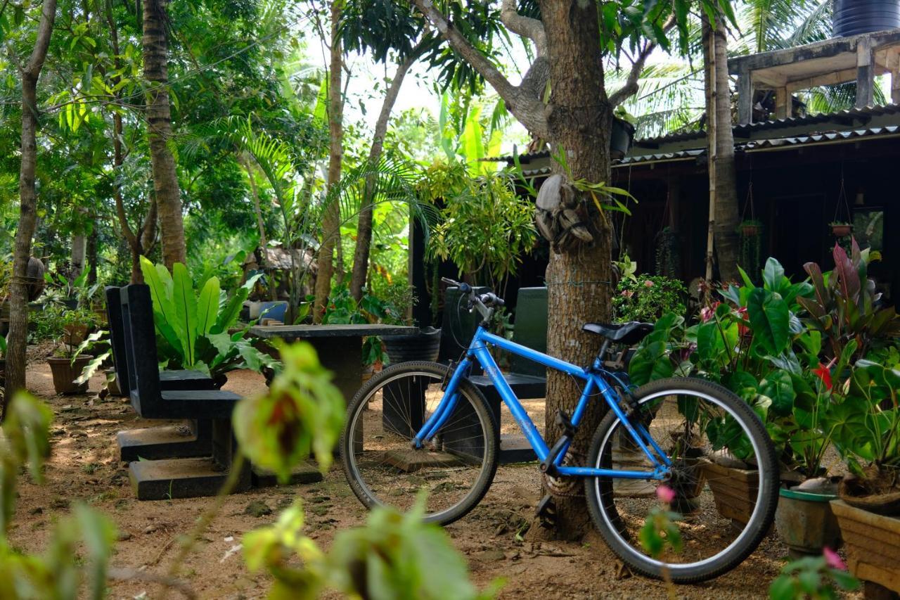 One More Night Hostel Sigiriya Exterior photo